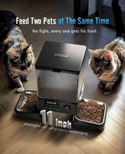 Load image into Gallery viewer, OneIsAll Dual Automatic Cat Food Dispenser