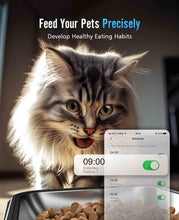 Load image into Gallery viewer, OneIsAll Dual Automatic Cat Food Dispenser
