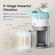 Load image into Gallery viewer, Wisesky W-Cat Air Purifier