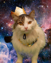 Load image into Gallery viewer, Sir Pounce's Chain and Glasses