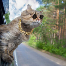 Load image into Gallery viewer, Sir Pounce's Chain and Glasses