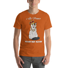 Load image into Gallery viewer, Sir Pounce (Irene) - Short-Sleeve Unisex T-Shirt