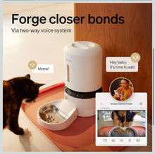 Load image into Gallery viewer, PetLibro Granary Smart Camera Feeder
