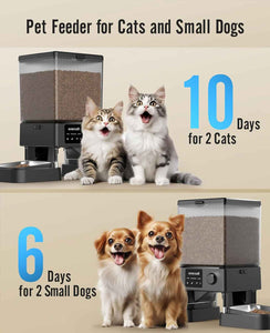 OneIsAll Dual Automatic Cat Food Dispenser