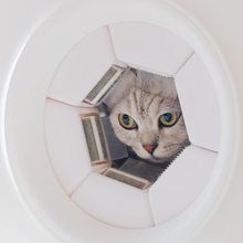 Load image into Gallery viewer, PawSwing AutoComb - Smart Cat Brush
