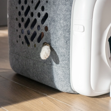 Load image into Gallery viewer, PawSwing AutoComb - Smart Cat Brush

