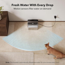 Load image into Gallery viewer, PetLibro - Glacier Ultrafiltration Stainless Steel Cat Water Fountain
