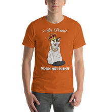 Load image into Gallery viewer, Sir Pounce (Irene) - Short-Sleeve Unisex T-Shirt
